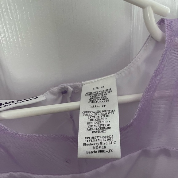 Blueberi boulevard girls 4T Rainbow Tulle Dress with Gem Detail - Picture 3 of 5